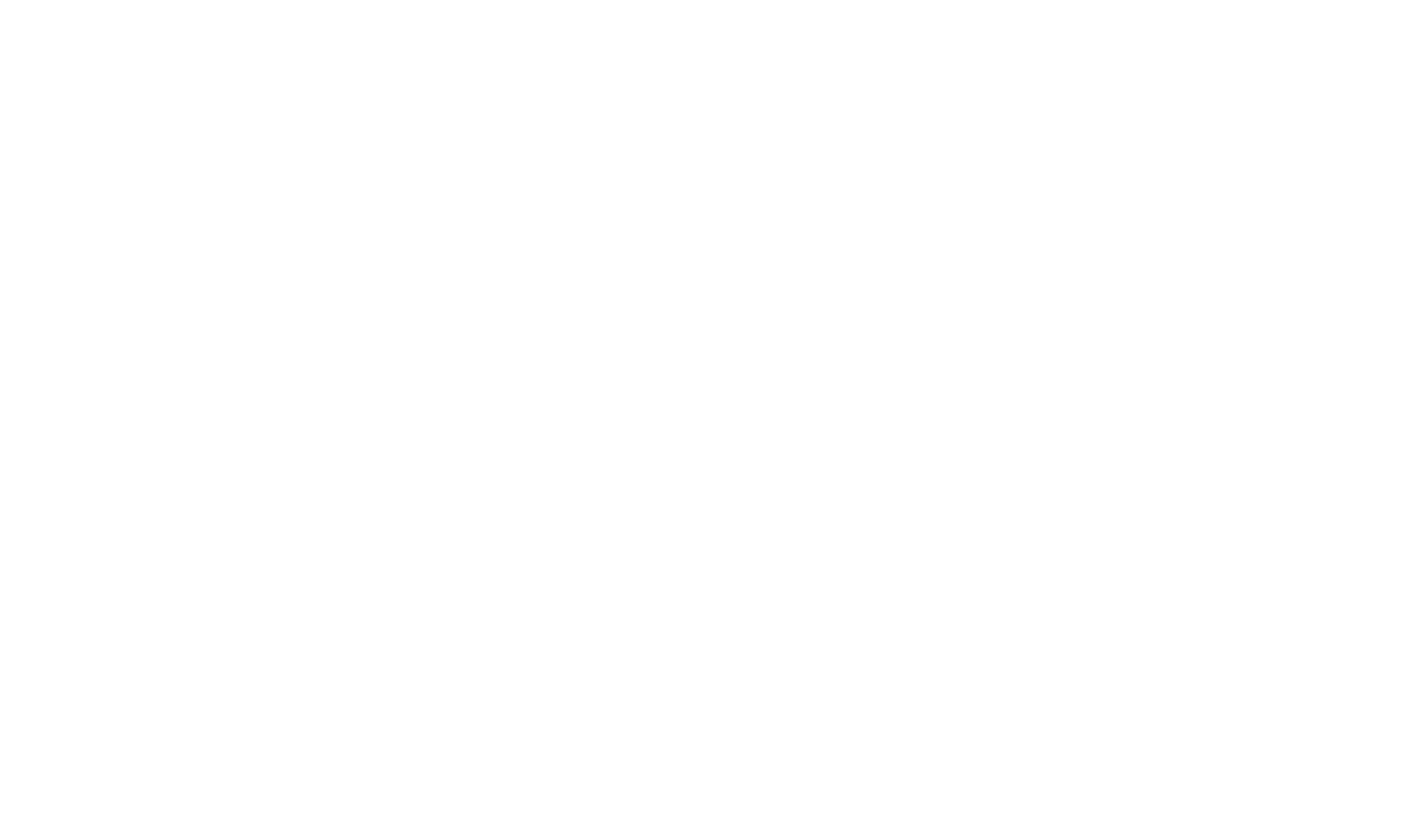 Luz Optik